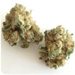 Шишки "White Widow"  (Белая вдова)  Гидропоника -  Бошка VHQ в Липецке