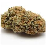 Шишки AK47  (Гидропоника, Бошка) VHQ в Липецке